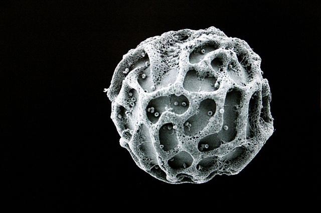 Molecule Magnified