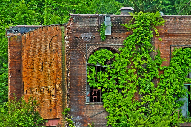 Overgrown