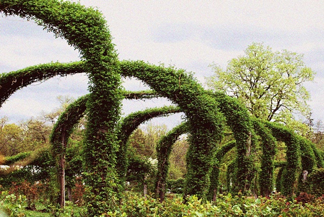 'Elizabeth Park' Hartford, CT