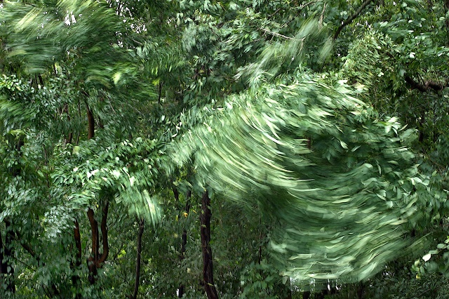 'Irene'