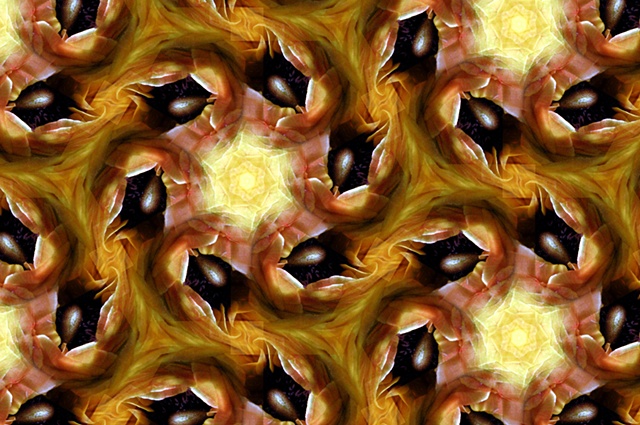 'Olive Twist'