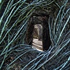 Patrick Doughtery 'The Rambles'