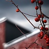 Southington, CT