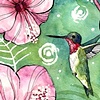 Hibiscus
