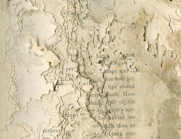 A Week in Dowie's Zion, author unknown, Silverfish damage