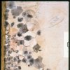 Infestations -Mold