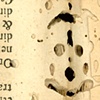 Infestations-worm holes