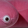 Soft Sculptures