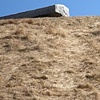 The Hill