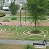 Lawn Drawing