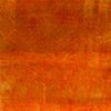2697213 (orange velvet)