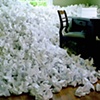 Untitled (perfectionist)
