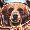 Spirit Animals: Bear & Vulture