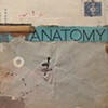 Anatomy
