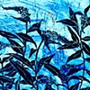 Blue Lustrife