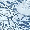White Koi