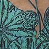 Lotus Leaves