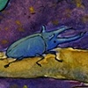 Owl and Beetle