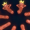 Hot Dog King Circle Jerk
