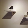 2 pavement specimens at the"Moving Ground" show at the Ann Arbor Art Center, January 2011
