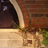 "Built to Last," detail
