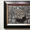 "Meadow Mori, #2"
