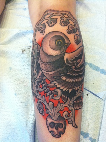Ivy's owl