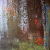Dark Forest