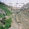 Photographs