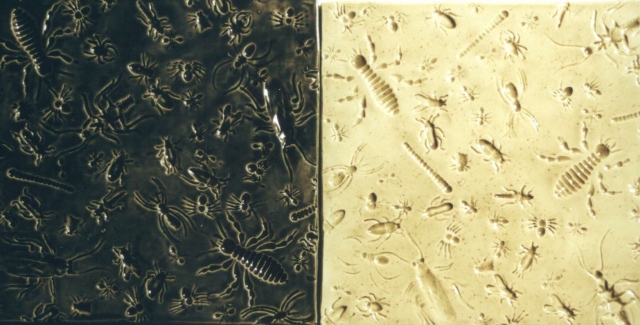 Insects - 8"sq