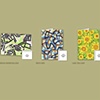 NOTE CARDS Assortment 3