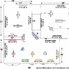 Floor Plan - Freedman Gallery Solo Show