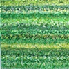 Language of Grass
