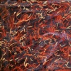 SOLD- Fly
