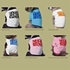 Pet Clothing
