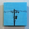 Birds on the Wire