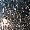 Champagne Bubble Palimpsests