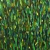 Spring Forest