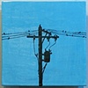 SOLD Birds On The Wire, 3 12"x12" Tiles