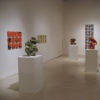 Freedman Gallery Solo Show - view 2