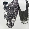 Chrysalis Emergent II