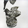 Chrysalis Emergent III