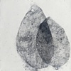 Familiar Asylum VI