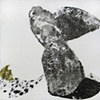 Chrysalis Emergent IV