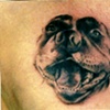 Tattoo by Steve Bahruth Needlewurks Saratoga