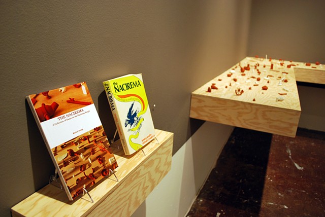 Baby and the Nacirema
The Luggage Store Gallery, San Francisco, CA
October 19 - November 17, 2012