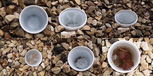 White Plastic cup- Detail