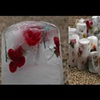 Love and Loss  -  Kellys Garden Hobart Tasmania 2006