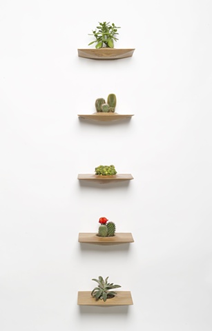 Plant Pods