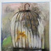 The Birds of ... Series 